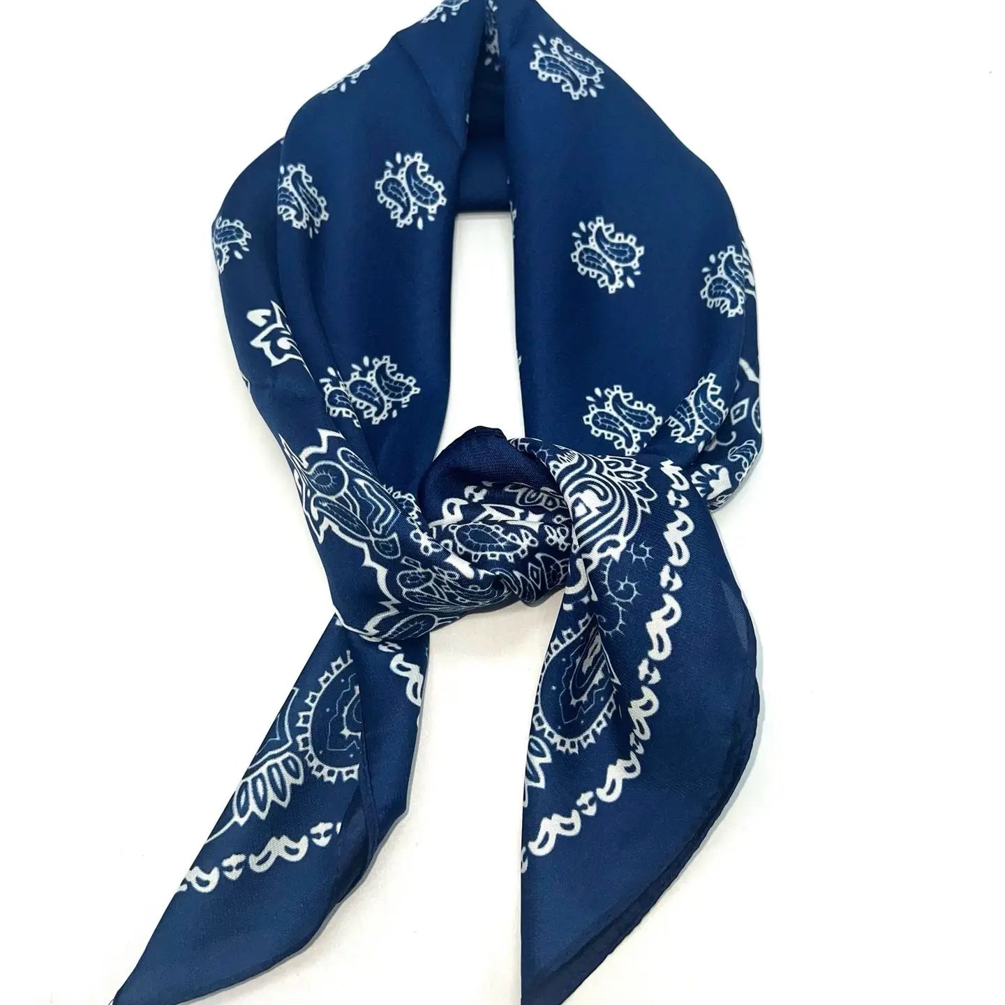 Lineta Paisley Silk Blue Scarf