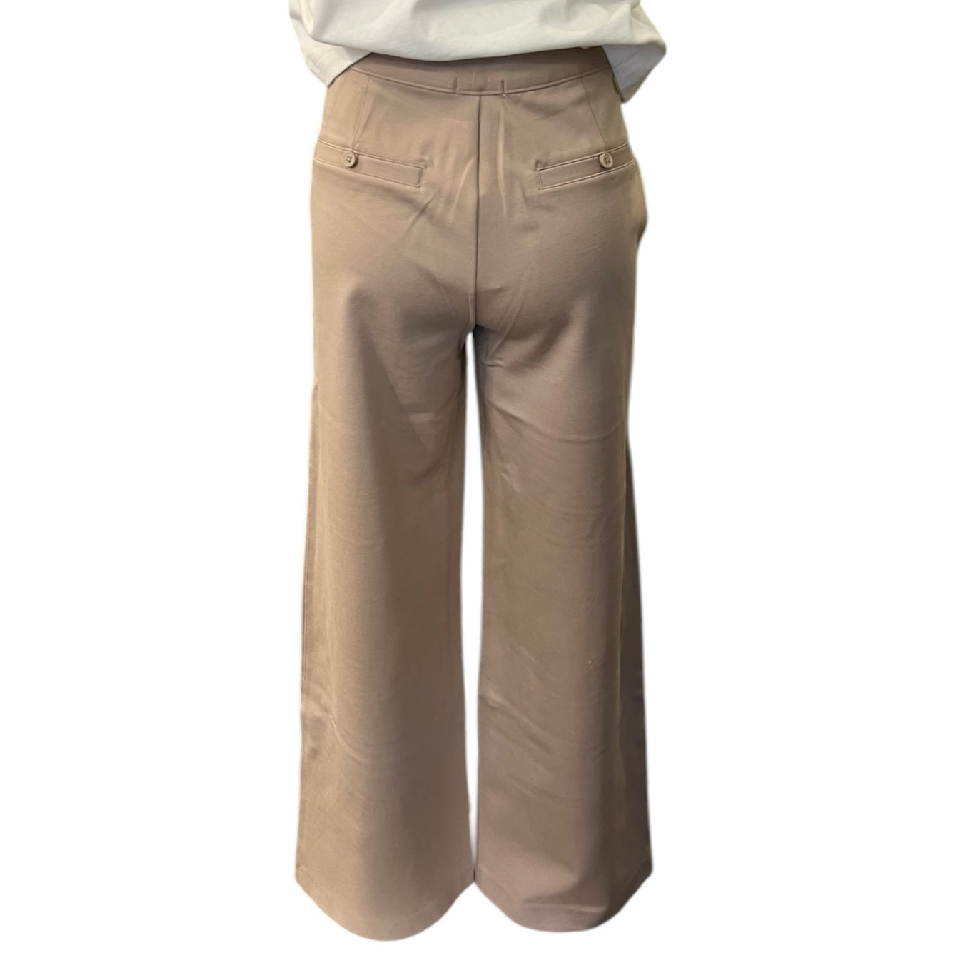 ZSupply Do It All Trouser Pant