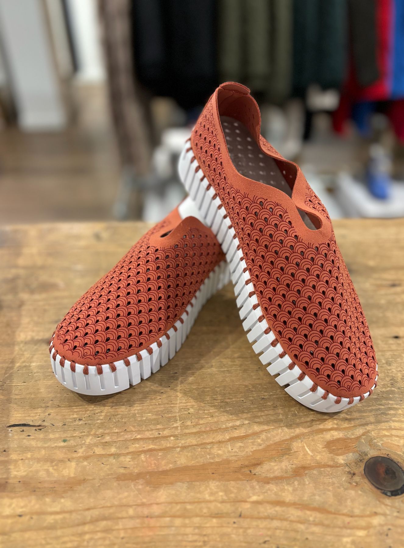 Ilse Jacobsen platform tulip 3373
