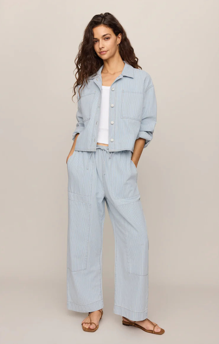 Zsupply Carpenter Pant