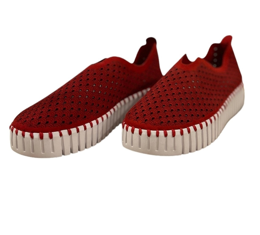 Ilse Jacobsen platform tulip 3373