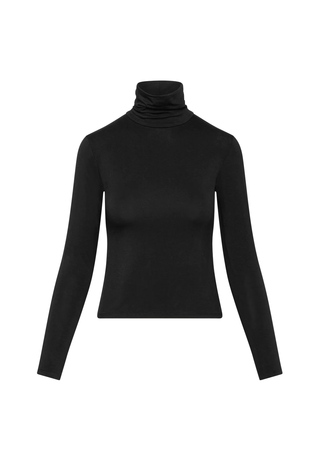 Ripley Rader Turtleneck Top