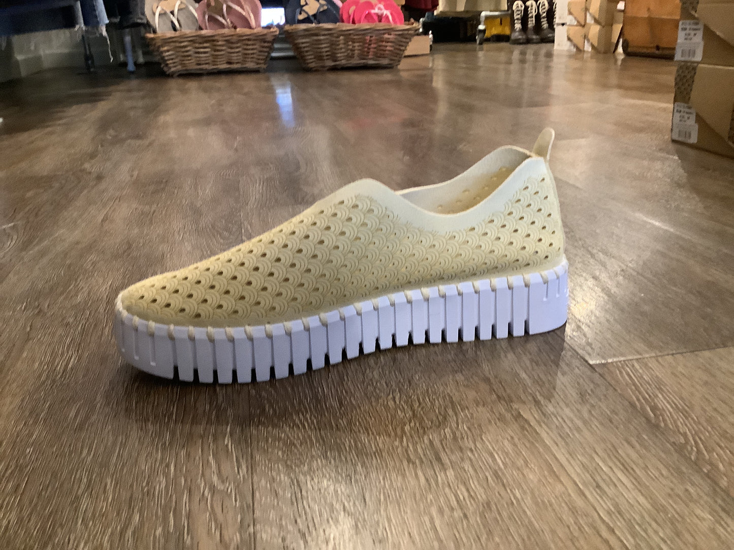 Ilse Jacobsen platform tulip 3373