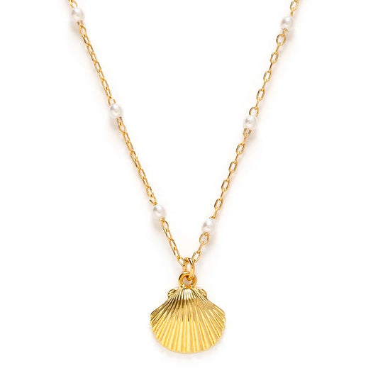 Amano Scallop Shell and Pearl Chain Necklace