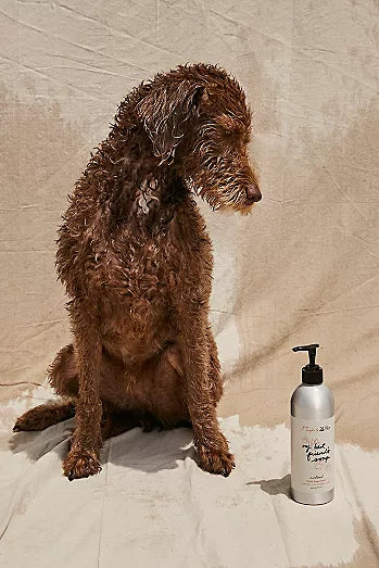 Free People X BFF Animal Society Dog Shampoo