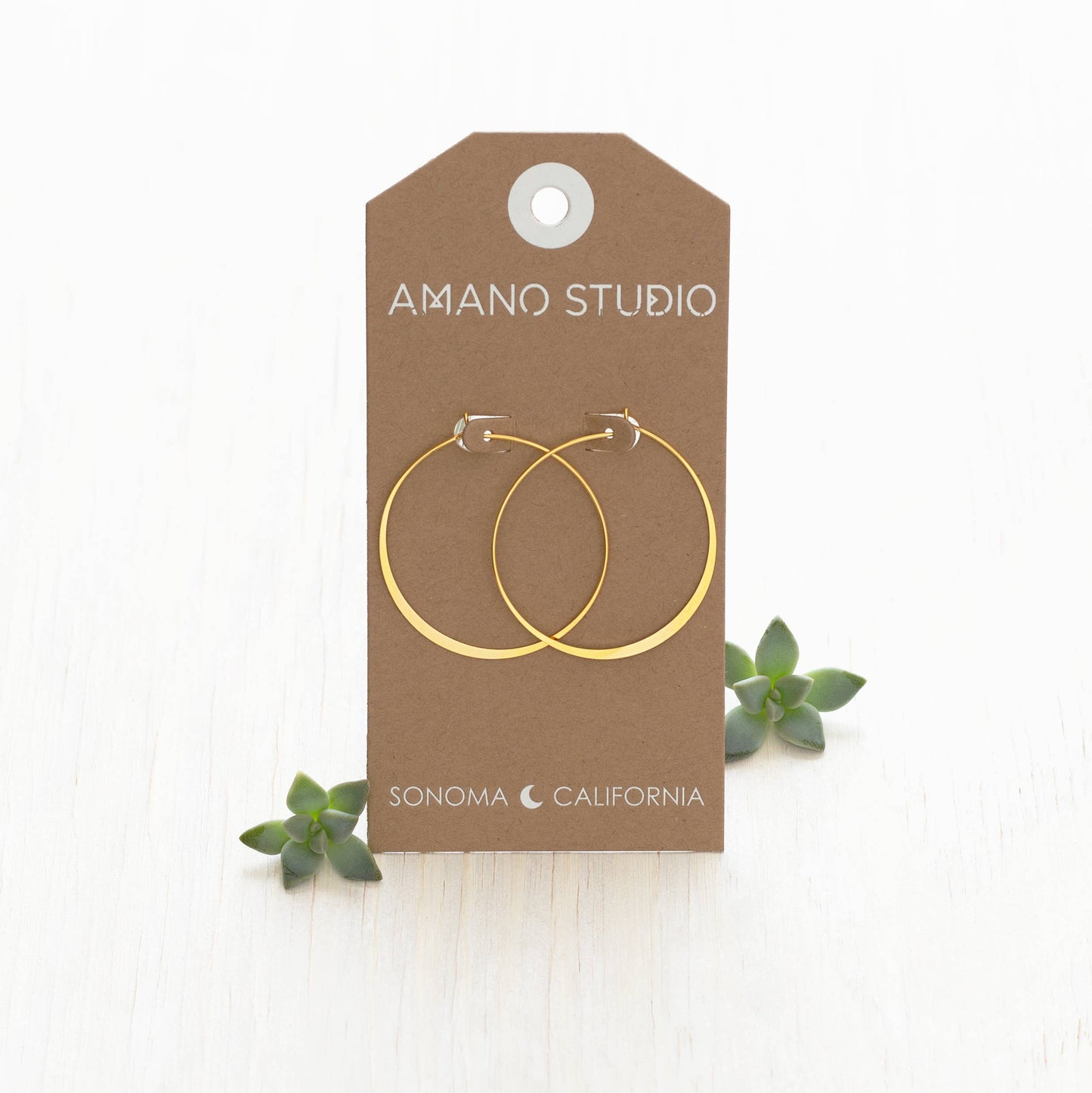 Amano 1.5" Classic Hoops 21RH15