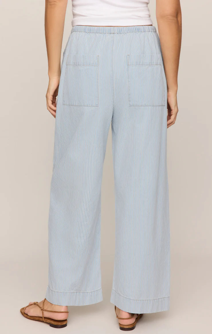 Zsupply Carpenter Pant