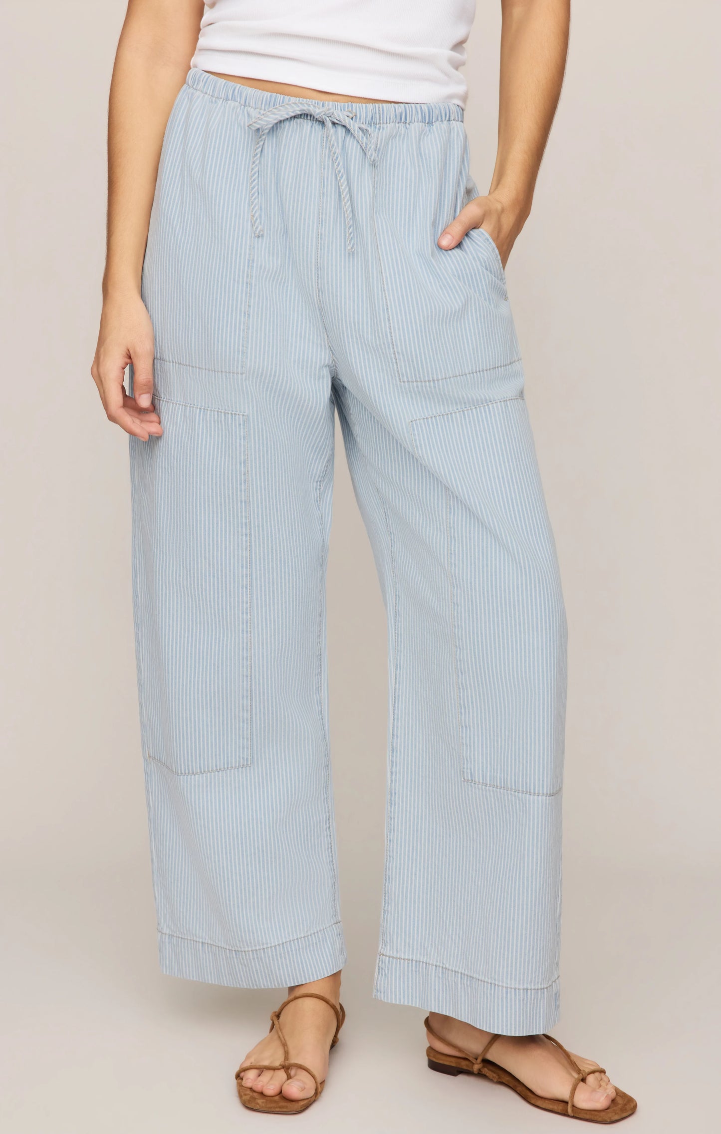Zsupply Carpenter Pant