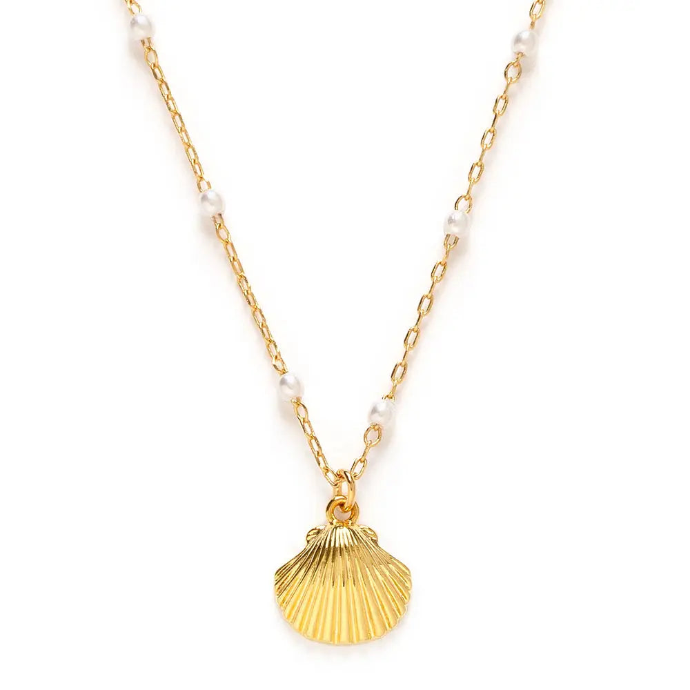 Amano Scallop Shell and Pearl Chain Necklace