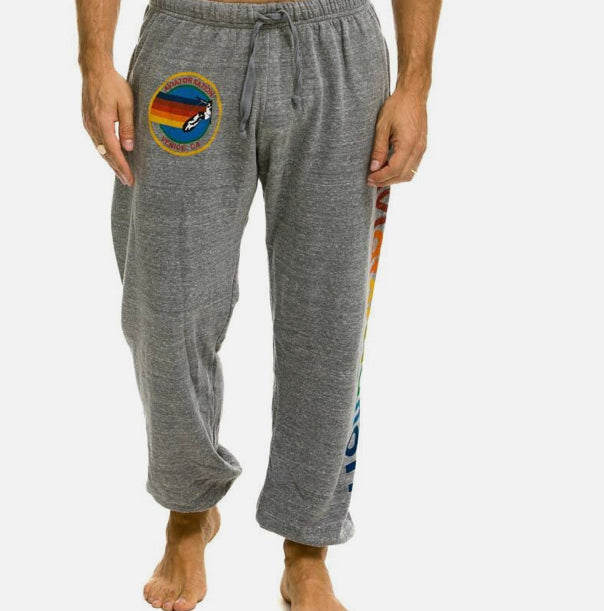 Aviator Nation Mens Sweats MSPP